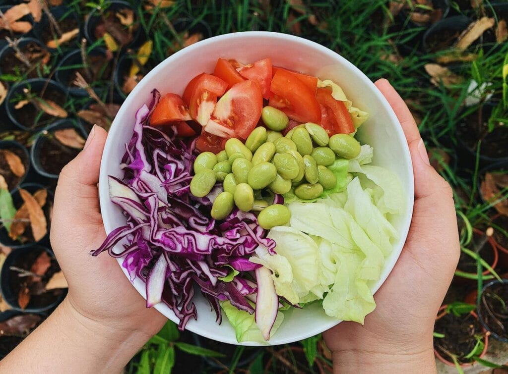 Wellness and Healthy Living